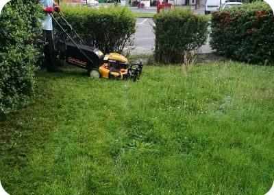 koszenie trawników wielkopolska
